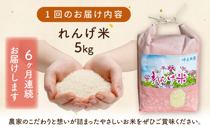 【全6回定期便】【令和7年度米】栽培期間中農薬不使用 農家のおいしいお米 5kg×6回【浅田峠自然塾】 [EA18]