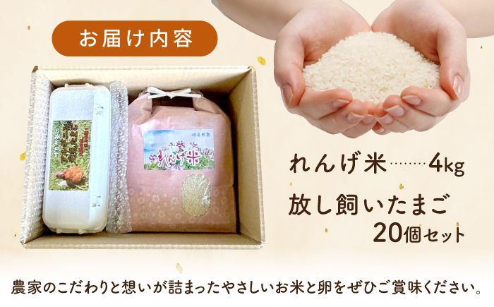 【令和7年度米】4kg・放し飼いたまご20個セット ヒノヒカリれんげ米 元気たまご【浅田峠自然塾】 [EA19]