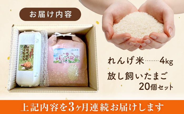 【全3回定期便】令和7年度米4kg・放し飼いたまご20個セット ヒノヒカリれんげ米 元気たまご【浅田峠自然塾】 [EA20]