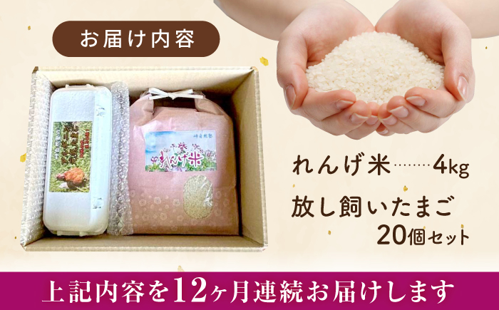 【全12回定期便】令和7年度米4kg・放し飼いたまご20個セット ヒノヒカリれんげ米 元気たまご【浅田峠自然塾】 [EA22]