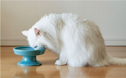 【波佐見焼 マルヒロ】HASAMI SEASON 01 ペット食器 全2点セット [EB135]