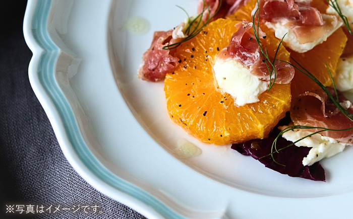 【波佐見焼】ombre de fleur プレートL melodie blue 4枚セット【翔芳窯】 [FE556]