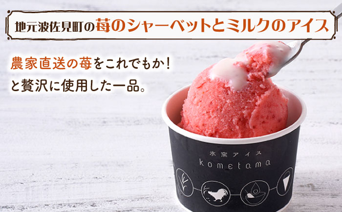 【こだわり濃厚米卵と地元特産フルーツ使用！】こめたまバラエティセット3種9個入り デザート スイーツ お菓子 アイス ギフト  【氷窯アイス こめたま】 [GF02]