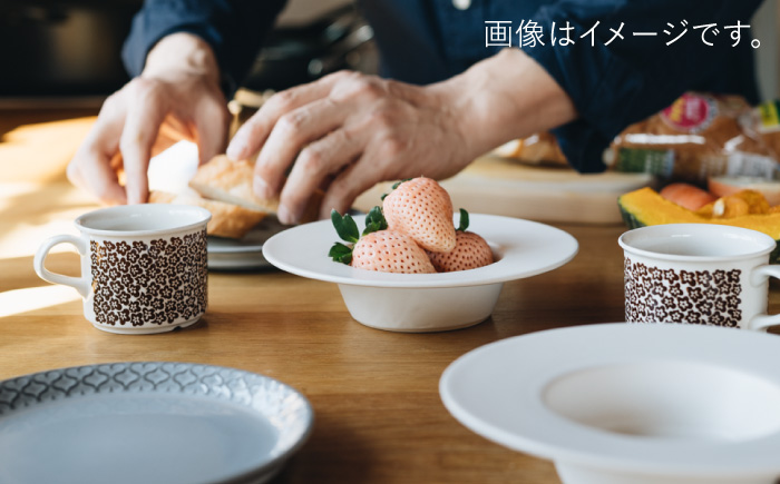 【波佐見焼】リム広ハット ボウル 白マット釉 2枚セット 食器 皿【イロドリ】 [KE38]