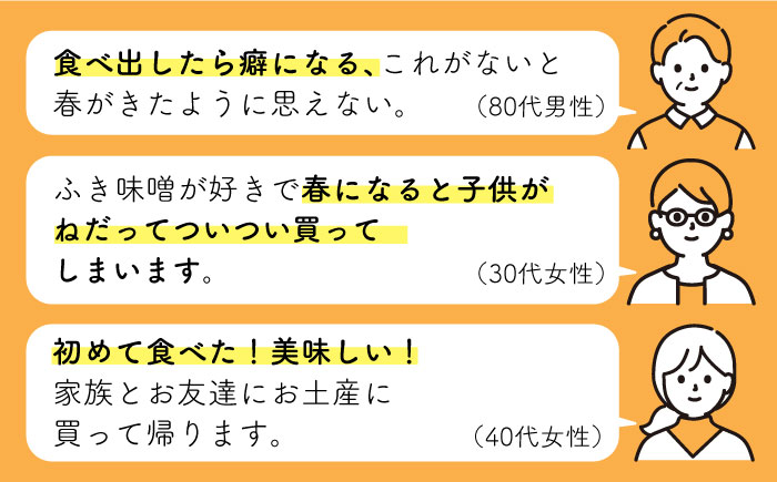 【春限定！ご飯のお供 万能調味料】国産 ふき味噌 10個セット【野下上絵】 [LE09]