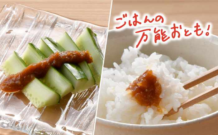 【全3回定期便】にんにく味噌 にんにくチップ フレーク 詰め合わせセット 万能調味料 国産【野下上絵】 [LE15]