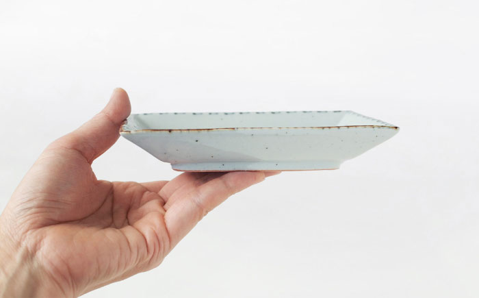 【波佐見焼】DINOSAUR　長角皿　小　4点セット【studio wani】 [MB96]