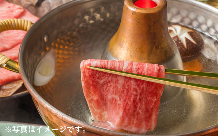 【全12回定期便】【超入手困難！】 長崎和牛 ヒレステーキ&ロース しゃぶセット ステーキ しゃぶしゃぶ すき焼き 焼肉 贈答 ギフト お中元 お歳暮 ヒレ フィレ【肉のあいかわ】 [NA104]