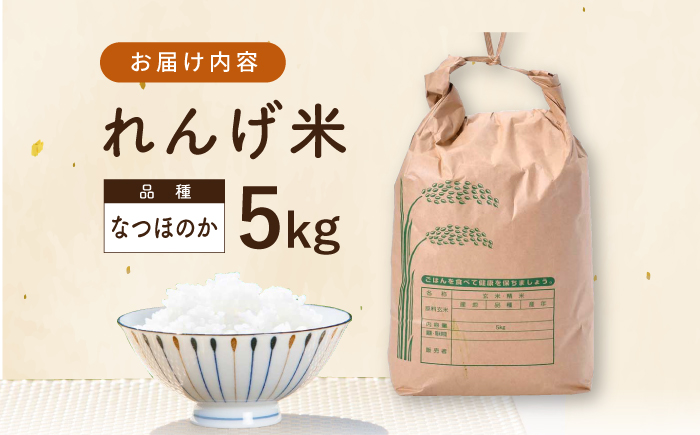 【令和7年度米】 れんげ米 なつほのか 5kg【ふきの陶】 [NF19]
