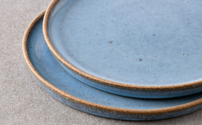 【波佐見焼】テラコッタ・BLUE プレートM 2枚セット【利左エ門窯】 [QB67]