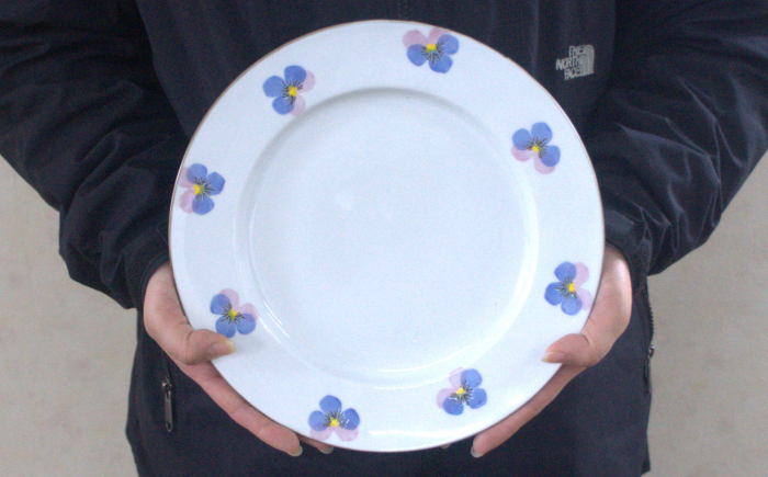 【波佐見焼】リムプレートL パンジー 2枚セット【トーエー】 [QC79]