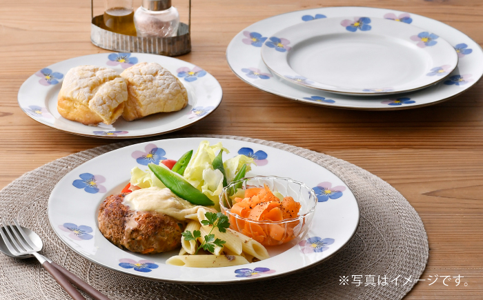 【波佐見焼】パンジー リムプレート M・L各2枚 計4枚セット [QC80]