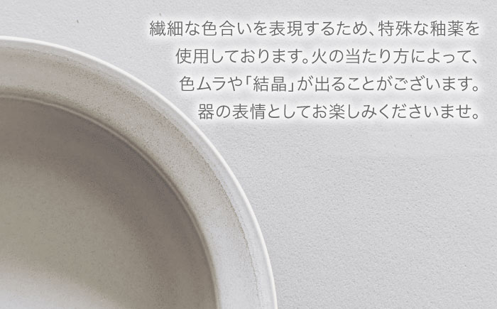 【波佐見焼】ギフトセット 20cm リム皿＆マグカップ 4点セット ネイビー・グレージュ【永峰製磁 eiho】 [RA84]