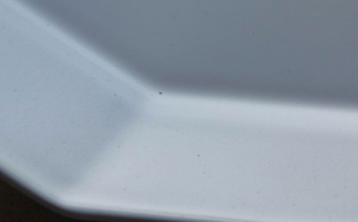 【波佐見焼】白釉 オクトゴナル皿 大・小 計4枚セット【吉田健宗】 [RB15]