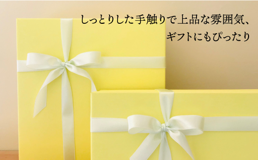 【波佐見焼】ピンクベージュのワインペア カップ 陶器 【アトリエビスク】 [RD16]