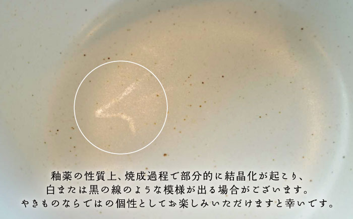 【波佐見焼】easy don ユキオコシ 2個セット どんぶり ボウル 【ZOE・一誠陶器】 [VE22]