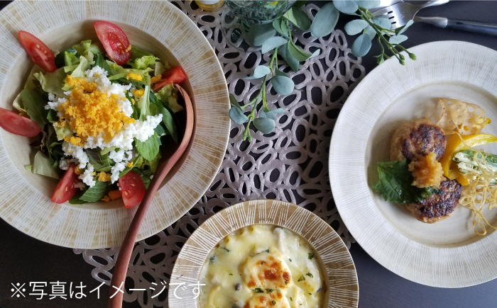 【波佐見焼】Shabby chic style 25cm プレート 2枚セット（senナチュラル） 食器 皿 【和山】 [WB104]