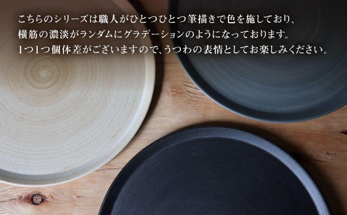 【波佐見焼】IREKO シャビー プレートM グレー・ブラック 2点【浜陶】 [XA83]