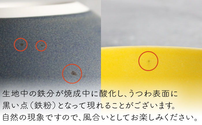 【波佐見焼】Naturalシリーズ ボウル 2個セット （ネイビー） 皿 マット【光春窯】 [XD100]