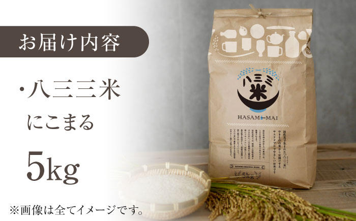 【令和7年度新米】八三三米（はさみまい） 5kg【冨永米穀店】 [ZF17]