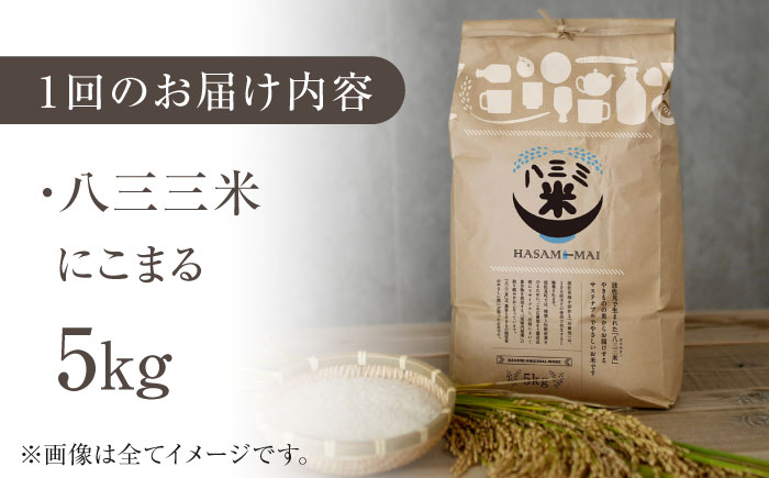 【令和7年度新米】【全3回定期便】八三三米（はさみまい） 5kg【冨永米穀店】 [ZF18]