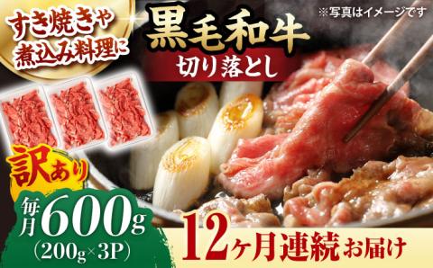 【第12回定期便】【訳あり】 切り落とし 600g  【夢ファームシュシュ】 [WF37] 肉 牛肉 しゃぶしゃぶ すき焼き 訳アリ ワケあり 定期便