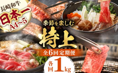 【全6回】【内閣総理大臣賞受賞！】長崎和牛 毎月お届けセット1kg×6回 [YA20]  肉 牛肉 ロース サーロイン ステーキ レモンステーキ 定期便