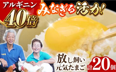 【食で健康に！】アルギニン元気たまご 20個お届け 自然栽培 【浅田峠自然塾】 [EA01]