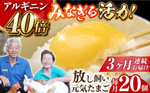 アルギニン元気たまご 20個×3回お届け 定期便 (月1回) 自然栽培 【浅田峠自然塾】 [EA02]