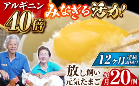 アルギニン元気たまご 20個×12回お届け 定期便 (月1回) 自然栽培 【浅田峠自然塾】 [EA04]