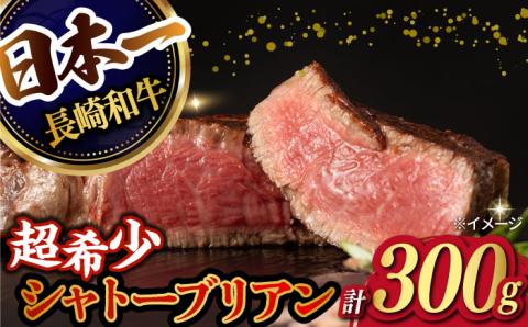 【極上の赤身肉】シャトーブリアン ステーキ 長崎和牛 計300g以上 （約150g×2枚）【肉のマルシン】 [FG08] 和牛 牛肉 赤身 ヒレ ステーキ 焼肉