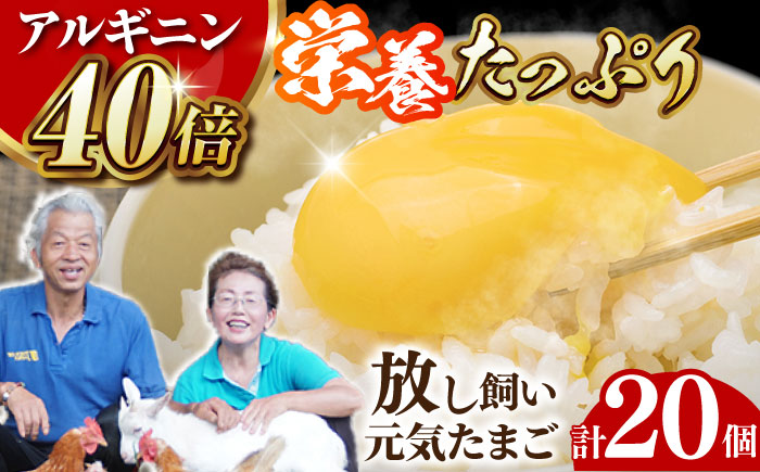 【食で健康に！】アルギニン元気たまご 20個お届け 自然栽培 【浅田峠自然塾】 [EA01]