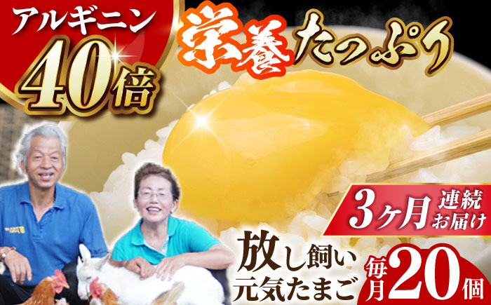 アルギニン元気たまご 20個×3回お届け 定期便 (月1回) 自然栽培 【浅田峠自然塾】 [EA02]