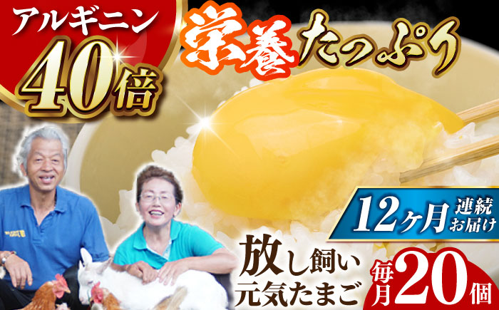 アルギニン元気たまご 20個×12回お届け 定期便 (月1回) 自然栽培 【浅田峠自然塾】 [EA04]
