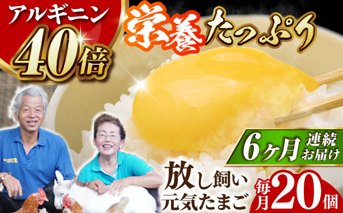 【全6回定期便】【栄養満点！】アルギニン元気たまご 20個×6回お届け 定期便 （月1回） 自然栽培 たまご 卵 【浅田峠自然塾】 [EA16]