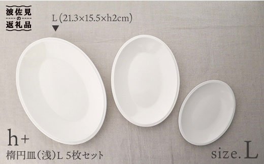 【波佐見焼】h+ 楕円皿 (浅) プレート L 5枚セット【堀江陶器】 [JD20]