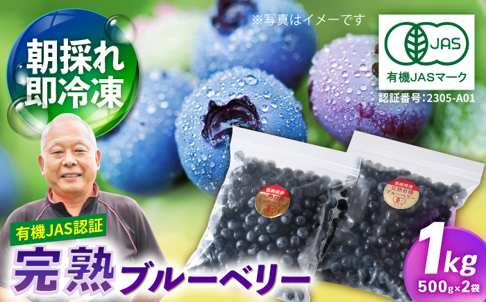 【有機JAS認証】有機ブルーベリー 冷凍 1kg(500g×2袋) 国産 【百笑会】 [DA31]
