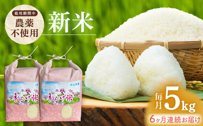 【全6回定期便】【令和7年度米】栽培期間中農薬不使用 農家のおいしいお米 5kg×6回【浅田峠自然塾】 [EA18]