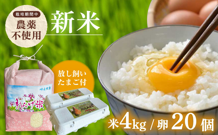 【令和7年度米】4kg・放し飼いたまご20個セット ヒノヒカリれんげ米 元気たまご【浅田峠自然塾】 [EA19]