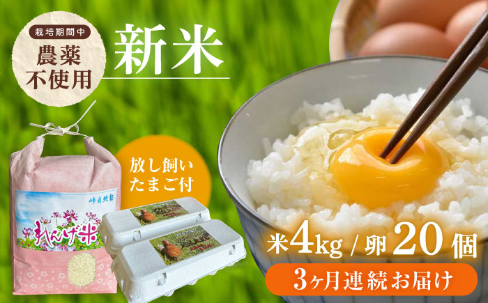 【全3回定期便】令和7年度米4kg・放し飼いたまご20個セット ヒノヒカリれんげ米 元気たまご【浅田峠自然塾】 [EA20]