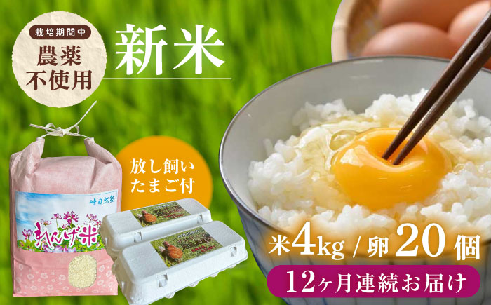 【全12回定期便】令和7年度米4kg・放し飼いたまご20個セット ヒノヒカリれんげ米 元気たまご【浅田峠自然塾】 [EA22]
