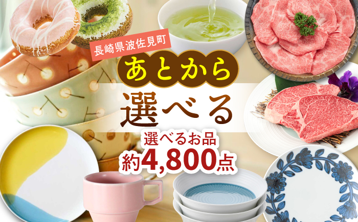 あとからセレクト 波佐見町ふるさとギフト 5万円分 あとから選べる カタログギフト [FB97]