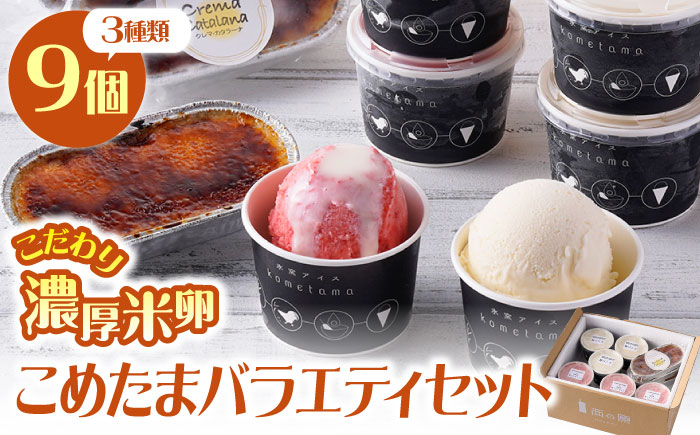 【こだわり濃厚米卵と地元特産フルーツ使用！】こめたまバラエティセット3種9個入り デザート スイーツ お菓子 アイス ギフト  【氷窯アイス こめたま】 [GF02]