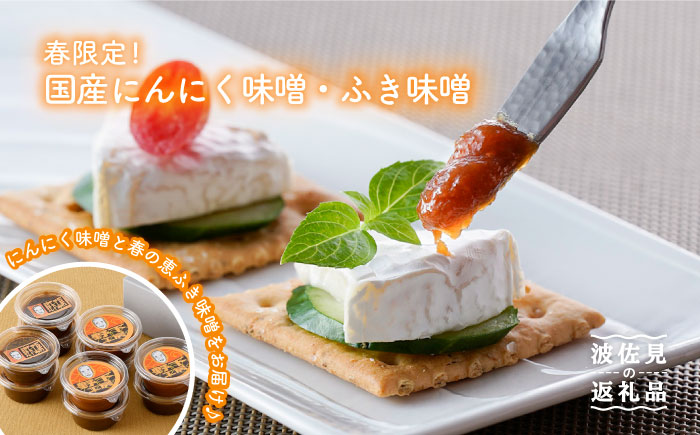 【春限定！大人気 万能調味料と夢のコラボ！】国産 にんにく味噌・ふき味噌 10個セット【野下上絵】 [LE10]