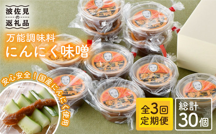 【全3回定期便】にんにく味噌 10個セット 国産【万能調味料】【野下上絵】 [LE18]