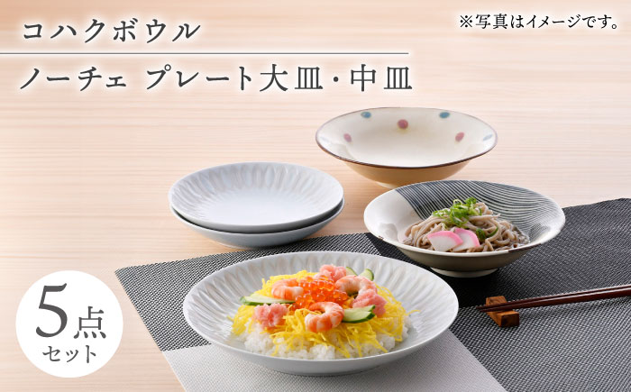 【波佐見焼】ボウル・皿 5点セット【大貴セラミックス/奥川陶器】 [NB143]