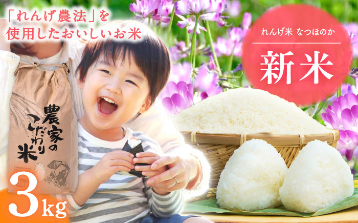 【令和7年度米】 れんげ米 なつほのか3kg【ふきの陶】 [NF18]
