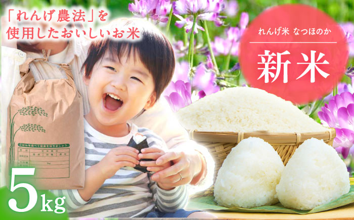 【令和7年度米】 れんげ米 なつほのか 5kg【ふきの陶】 [NF19]
