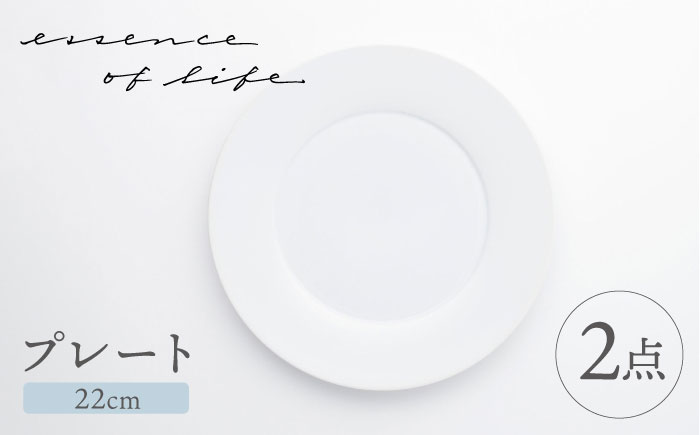 【波佐見焼】【essence】agasuke プレート 〈22cm〉 2点【西海陶器】 [OA448]
