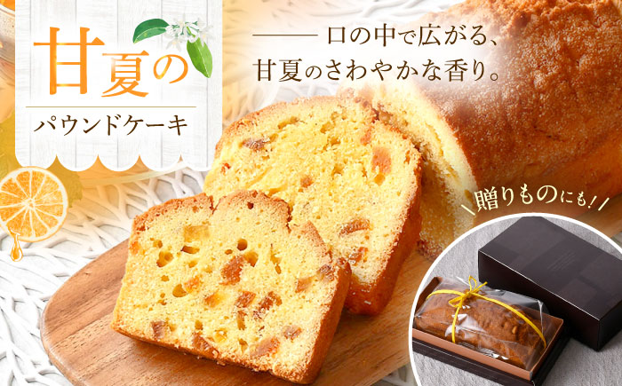 【波佐見から届く心温まる味】甘夏のパウンドケーキ 【るなんのお菓子】 [SG01]